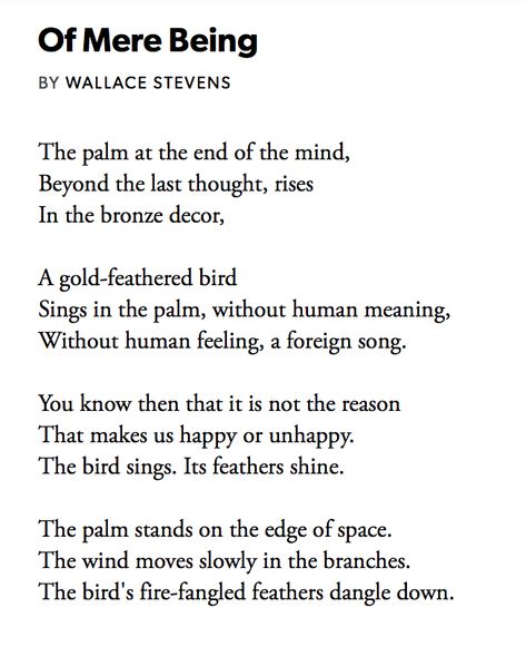 "The palm stands on the edge of space. The wind moves slowly in the branches.The bird's fire-fangled feathers dangle down."
~Wallace Stevens Wallace Stevens, Bronze Decor, Learning Reading, Poem Quotes, The Palm, On The Edge, The Edge, The Wind, Feathers