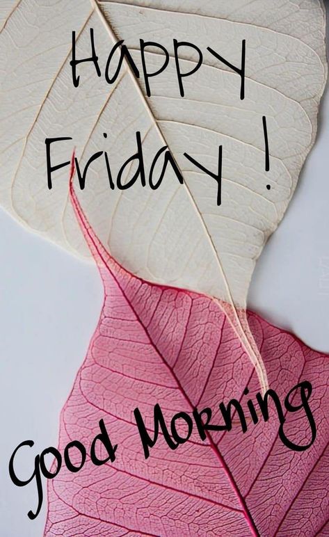 Good People…looks like we made it! TGIF! Have a safe & blessed weekend!💕🤍💕 Hello Friday Quotes, I Miss You Cute, Blessed Weekend, Friday Morning Quotes, Friday Wishes, Good Morning Friday, Weekend Quotes, Friday Quotes, Hello Friday