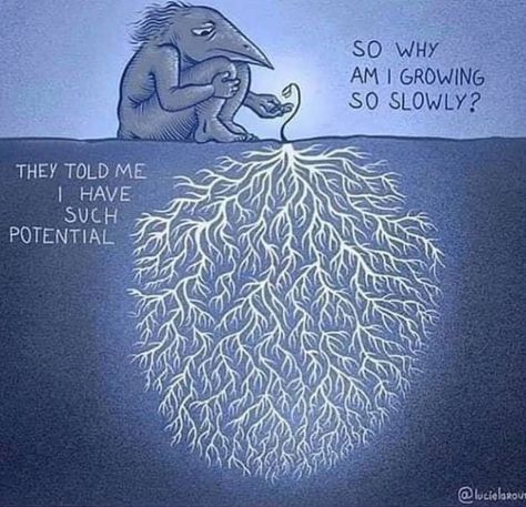 It takes PATIENCE 🌱🌳 for NEW GOOD things to unfold in life... NEVER loose hope .... EVERYTHING is working out of My highest GOOD 👀 Growing Up Quotes, Leadership Quotes, Morning Quotes, Woman Quotes, Wisdom Quotes, Reign, Inspire Me, Words Quotes, Tell Me