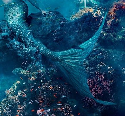 credit unknown🪼 #mermaid #underwater #ocean #aesthetic #blue Blue Mermaid Aesthetic, Era Victoria, Ice Fantasy, Greek Sea, Siren Mermaid, Ocean Aesthetic, Mermaid Pictures, Mermaid Aesthetic, Parc D'attraction