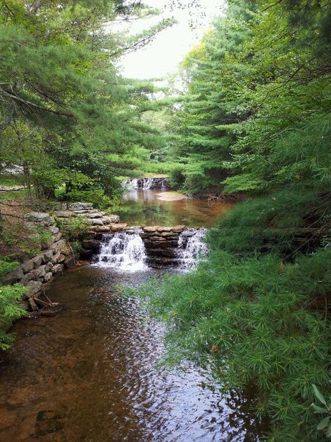 Hickory Run State Park, PA Water Falls, Hiking With Kids, Beautiful Places To Visit, Lake Michigan, Road Trips, State Park, Mother Nature, Places Ive Been, Pennsylvania