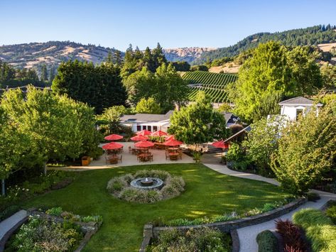 Mendocino Getaway: 6 Anderson Valley Wineries to Visit | Sonoma Magazine Parterre Garden, Russian River Valley, Redwood Trees, Mendocino Coast, Sonoma Coast, Champagne Region, Wine Tasting Experience, Spring Hiking, Atv Tour