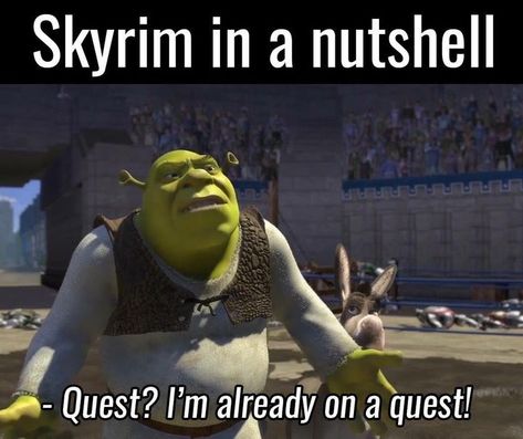 Skyrim Humor, Elder Scrolls Memes, Skyrim Funny, Elder Scrolls V Skyrim, Video Game Memes, Video Games Funny, Gamer Humor, Oblivion, Gaming Memes