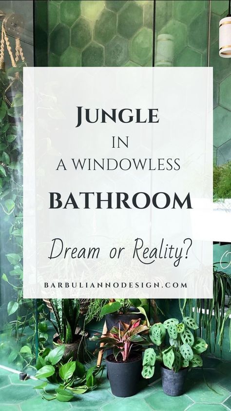 Plants For A Bathroom, Bathroom Plants No Sunlight, Bathroom Plants Low Light, Bathroom Without Windows, Indoor Plants Bathroom, Bathroom Plants Decor, Windowless Bathroom, Best Bathroom Plants, Best Indoor Plants