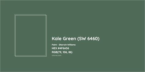 Sherwin Williams Kale Green (SW 6460) Paint color codes, similar paints and colors Kale Green Color, Kale Green Sherwin Williams, Sherwin Williams Kale Green, Munsell Color System, Analogous Color Scheme, Paint Color Codes, Rgb Color Codes, Hexadecimal Color, Rgb Color Wheel