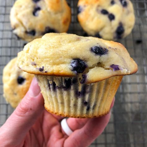 Blueberry Protein Muffins, Vegan Egg Replacement, Protein Mug Cakes, Protein Baking, Protein Muffins, Protein Powder Recipes, Gluten Free Pancakes, Unsweetened Applesauce, Pancake Mix