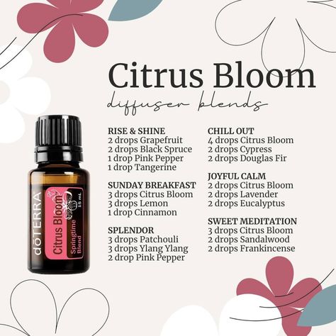 Citrus Bloom Diffuser Blends, Doterra Citrus Bloom, Best Diffuser Blends, Best Diffuser, Doterra Diffuser, Essential Oil Combinations, Doterra Essential Oils Recipes, Essential Oil Diffuser Blends Recipes, Essential Oil Diffuser Blends