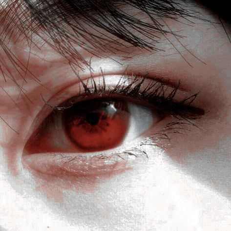 Red Eyes Female, Tifa Lockhart Aesthetic, Red And Blue Eyes, Kitsune Aesthetic, Dark Red Eyes, Spyxfamily Icon, Crimson Eyes, Vampire Eyes, Yor Forger