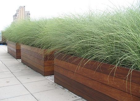 Planter boxes. Grasses create all season interest. Privacy Planters, Porch Privacy, Temporary Fencing, Diy Wood Planters, Garden Troughs, Balcony Privacy, Diy Planter, Wooden Planter, Pallet Planter