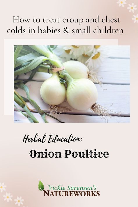 https://www.vsnatureworks.com/blogs/news/herbal-education-onion-poultice?keyword=onion Onion Poultice, Onion In Sock, Chest Cold, Herbal Education, Holistic Remedies, Childrens Health, Educational Videos, Baby Cold