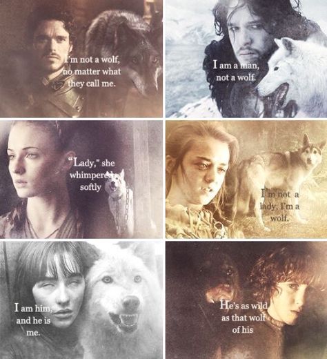 stark children and their wolves Stark Children, جون سنو, Game Of Thrones Series, Got Game Of Thrones, Game Of Thrones Quotes, The North Remembers, Hbo Game Of Thrones, Wolf Quotes, Got Memes