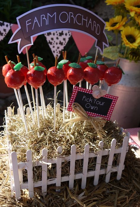 Apple Cake Pops Recipe and a DIY Barnyard Birthday Centerpiece - BirdsParty.com Diy Cake Pop Stand, Cake Pop Centerpiece, Apple Cake Pops, Diy Cake Pops, Cake Pop Displays, Buffet Dessert, Barnyard Birthday Party, Diy Apple, Farm Theme Birthday