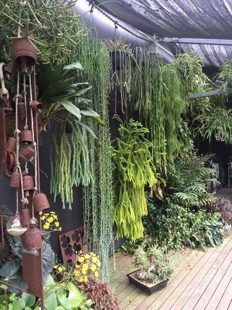 38 Stunning Ideas to Turn Your Boring Garden into a Cool Tropical Garden Fernery Ideas, Small Tropical Gardens, Front Flower Beds, Tropical Landscape Design, Jungle Gardens, Tropical Garden Design, Small Courtyard Gardens, Vertical Garden Wall, Tropical Landscape