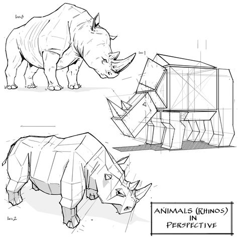 Foundation Art Group: Foundation Sketching - Drawing Animals in Perspective (Rhinos), Foundation Art Group on ArtStation at https://www.artstation.com/artwork/3dZ23m Perspective Sketch, Structural Drawing, Animal Drawings Sketches, Drawing Animals, Animal Study, Drawing Exercises, Industrial Design Sketch, Creature Drawings, Rhinos