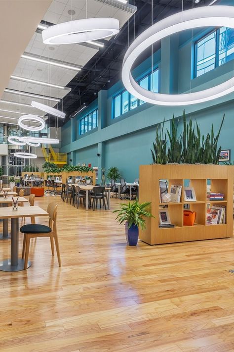 A vibrant co-working space filled the large shared atrium space with LightArt's 6ft and 8ft LA2 Connected Rings. Installed at staggered lengths create a unique and whimsical design and lighting element. Specified by @idgroupdallas 📸 Paul Schiefer #lightingdesign #interiordesign #architecture #coworking Atrium Lighting, Library Lighting, Coworking Space, Design System, Modular Design, Brand Colors, Lighting Solutions, Lighting Design, Health Care