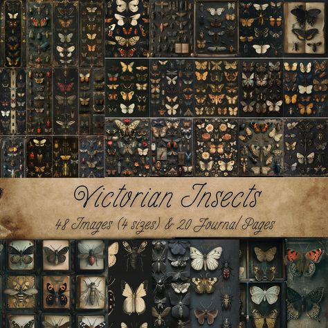 *New Listing* Victorian Insect Collection https://mysticephemera.etsy.com/listing/1756682701 #scrapbook #scrapbooks #scrapbooking #scrapbookingjunkie #scrapbookpage #scrapbookideas #scrapbookjournal #junkjournal #junkjournals #junkjournaling #junkjournalsupplies #junkjournaljunkies #junkjournalsofinstagram #junkjournalcommunity #junkjournalideas #junkjournalpages #junkjournalephemera #junkjournallove #journal #journalingideas #journalinspiration Victorian Insect Illustrations, Junk Journal Butterflies, Insect Collection, Scrapbook Journal, Digital Form, Junk Journals, Journal Inspiration, Journal Pages, Google Drive