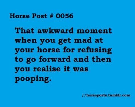 #cowgirl problems Awks... I always feel so bad. Cowgirl Problems, Equestrian Memes, Equine Quotes, Funny Horse Memes, Horse Girl Problems, Horse Quotes Funny, Horse Jokes, Horse Riding Quotes, Equestrian Quotes