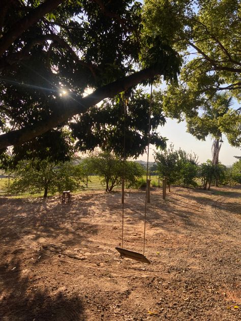 A farm wooden swing in the countryside of Brazil Brazil Countryside, Land Ideas, Vision 2025, Plot Of Land, Wooden Swing, Wooden Swings, Rural Life, Horse Farms, Cyberpunk 2077