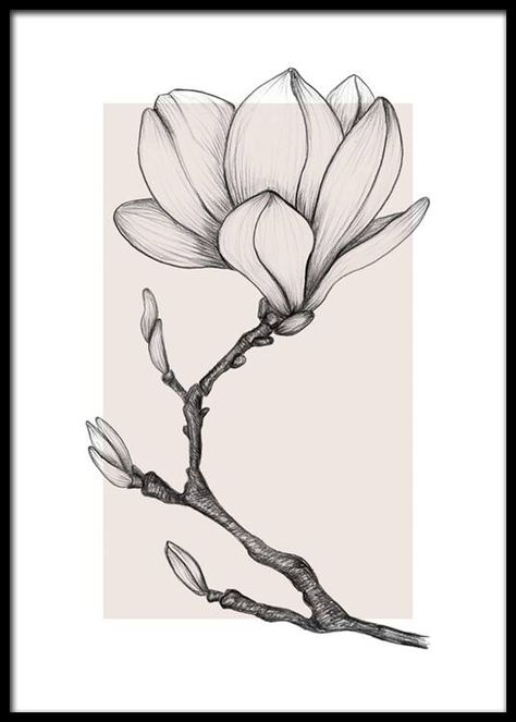 Magnolia Drawing, Hur Man Ritar Blommor, Flower Drawing Tutorials, Pastel Poster, Gold Poster, Flower Art Drawing, Flower Sketches, Seni Cat Air, Online Wall Art