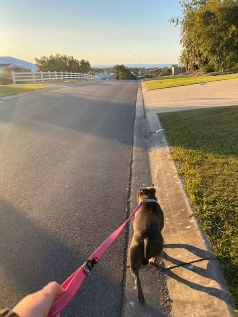 Taking Dog For A Walk, Walking Around Aesthetic, Vision Board Dog Mom, Walking The Dog Aesthetic, Dog Walks Aesthetic, Going For A Walk Aesthetic, Dog Walk Aesthetic, Dog Walking Aesthetic, Girl Walking Dog