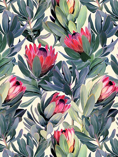 This pattern took me ages, long enough to make me wonder what I was thinking even starting on such an ambitious (for me) project. But my garden is full of proteas, and they are so lovely, I find their shapes and colors endlessly inspiring, so it had to be done. I couldn’t ignore them anymore.… • Millions of unique designs by independent artists. Find your thing. Flower Wallpaper Backgrounds, Protea Pattern, Flower Print Pattern, Tropical Illustration, Design Pattern Art, Colour Ways, Trendy Flowers, Wallpapers Iphone, Plant Illustration