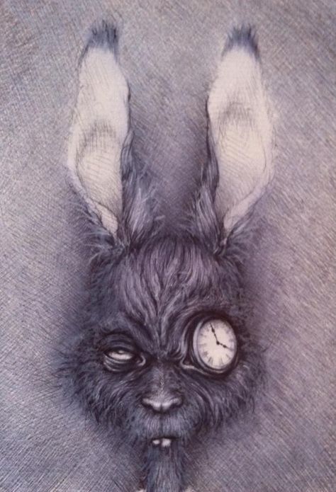 White Rabbit Alice In Wonderland, Bunny Rabbit Art, Dark Alice In Wonderland, Alice In Wonderland Drawings, Wonderland Artwork, Rabbit Drawing, Creepy Drawings, Rabbit Tattoos, Skull Bones