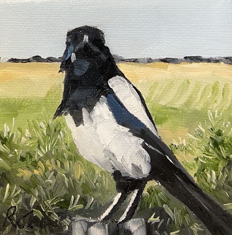 Magpie Aesthetic, Tgcf Oc, Magpie Painting, Magpie Art, Oc Aesthetic, Painting Aesthetic, Animal Magic, Wow Art, Animal Sketches