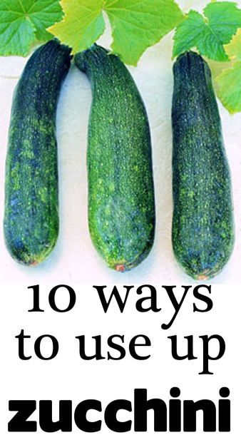 Use Up Zucchini, Crescent Roll Pizza, Cheesy Breadsticks, Honey Glazed Ham, Baked Chicken Tacos, Beef Jerky Recipes, Chicken Taco Recipes, Herb Cheese, Dark Chocolate Cakes