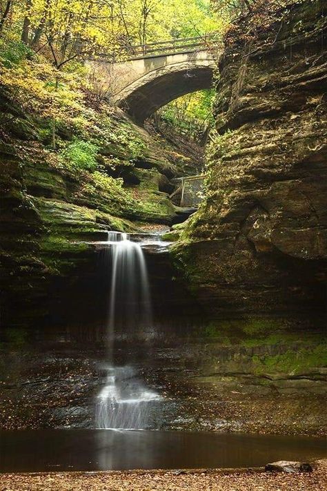 Starved Rock State Park Illinois, Illinois Landscape Photography, Illinois Aesthetic, Illinois Landscape, Illinois State Parks, States To Visit, Illinois Photography, Starved Rock State Park, Illinois Travel