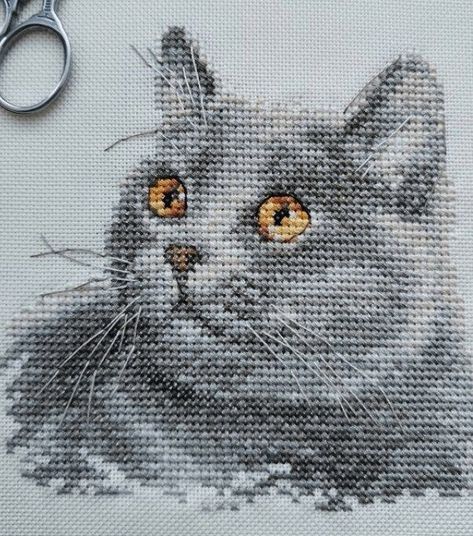 Grey Tabby Cat, Counted Cross Stitch Patterns Free, Grey Tabby, Cat Cross Stitches, Cat Cross Stitch Pattern, Animal Cross Stitch Patterns, Grey Cat, Cross Stitch Needles, Cat Cross Stitch