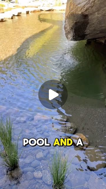 Black Koi Water Features on Instagram: "This is a custom swimming pool that has been converted to an aquascape recreation pond. So what had to be changed to convert this into a recreation pond? Essentially, all that was needed was to add the nature inspired wetlands filter which keeps the water incredibly clear and clean. We also reworked much of the design of the original system to incorporate more aesthetically pleasing falls and a larger basin so that the pumps can be turned off and back on without all the water draining out of the system. Do you think this is a compelling alternative to a traditional swimming pool? 
.
.
.
#aquascape #recreationpond #watergarden #waterfeature #asheville #greenvillesc #hendersonvillenc #transylvaniacounty #swimmingpond #organicpool" Recreation Pond, Tire Pond, Outdoor Therapy, Indoor Pond, Pond Aerator, Natural Swimming Ponds, Custom Swimming Pool, Pond Liner, Swimming Pond