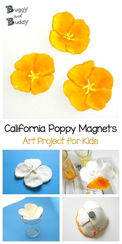 California Poppy Magnet Flower Craft for Kids: Using Crayola Model Magic. A fun craft and art project for kids of all ages- perfect for spring and makes a great Mother's Day gift! ~ BuggyandBuddy.com #flowercraft #poppies #californiapoppy  via @https://www.pinterest.com/cmarashian/boards/ Flowers Crafts For Kids, Poppy Craft For Kids, Crayola Model Magic, Poppy Craft, Art Project For Kids, Magic Crafts, Model Magic, Magnet Crafts, Project For Kids