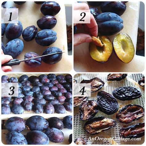 Of all the fruits I preserve in some way - freezing, canning, or drying - dried plums are probably my family's favorite. They are simply a wonderful chewy-tart snack that we eat almost as fast as I can dry them.    And they are NOT prunes - they Plum Recipes, Dried Plums, Dehydrated Fruit, Fruit Preserves, Dehydrated Food, Garden Recipes, Stone Fruit, Dehydrator Recipes, Dried Fruits