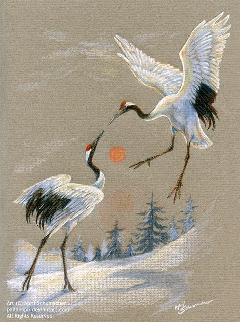 Crane Drawing, Crane Tattoo, Frida Art, Japanese Crane, Art Chinois, Asian Painting, Art Asiatique, Sample Paper, Herons