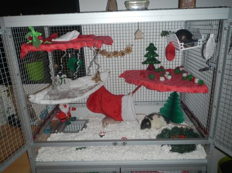 Rat cage : Christmas theme! Hamster Cage Christmas Decor, Rat Breeding, Rat Cage Ideas, Hampster Cage, Rat Cage Diy, Pet Rat Cages, Cavy Cage, Christmas Hamster, Fancy Rats