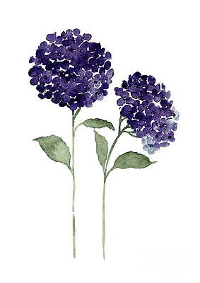 Hydrangea Watercolor, Purple Wall Decor, Hydrangea Painting, Purple Painting, Painting Purple, Purple Hydrangea, Watercolor Flowers Tutorial, Floral Watercolor Paintings, Watercolor Beginner