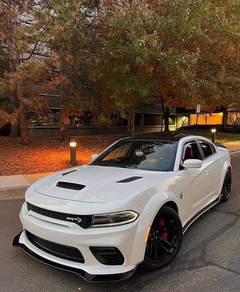 Dodge Charger Gt, 2019 Dodge Charger, My New Car, Taking Photos, New Car, Dodge Charger, Dodge, White