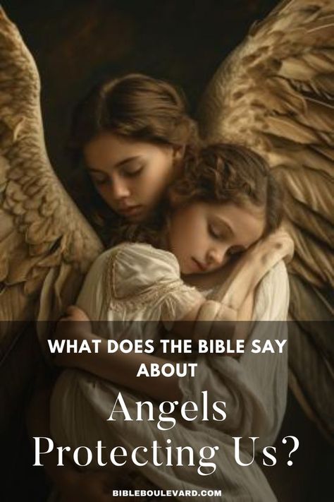 What Does the Bible Say About Angels Protecting Us? Angels Bible, Angel Protection, Divine Protection, Bible Study Help, Best Bible Verses, Bible Says, Study Help, Bible Notes, The Bible