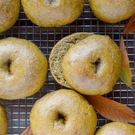 The Best Homemade Sourdough Pumpkin Bagels - Sourdough Pumpkin Bagels, Pumpkin Sourdough, Sourdough Pumpkin, Pumpkin Bagels, Sourdough Bagels, Homemade Sourdough, Homemade Pumpkin Puree, Homemade Bagels, How To Make Pumpkin