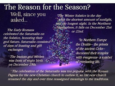 the reason for the season - it isn't what you insist it is. Yule Traditions, Pagan Christmas, Winter Solstice Celebration, Pagan Yule, Solstice Celebration, The Longest Night, Everlasting Life, Winter Solstice, Yule