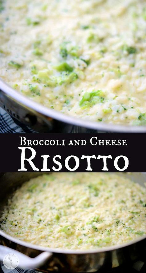 This Broccoli and Cheese Risotto made with Arborio rice is cheesy, super creamy and makes a delicious side dish to accompany any meal. Cottage Cheese Side Dish, Cheese Risotto, Italian Dinners, Staple Recipes, How To Make Risotto, Dish Ideas, Healthy Vegetable Recipes, Vegetable Side Dishes Recipes, Arborio Rice