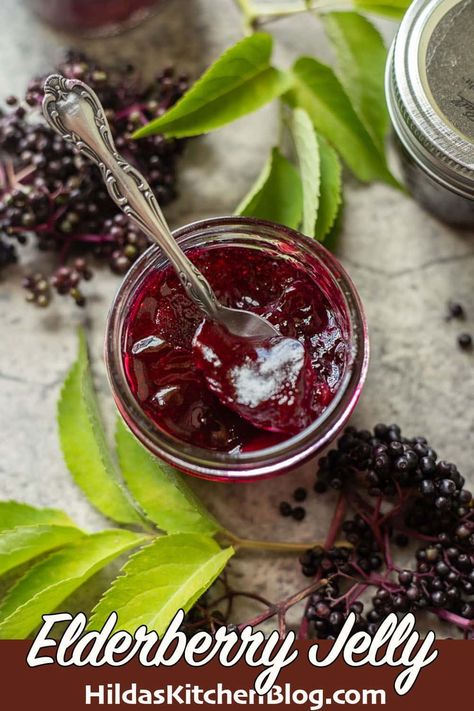 This elderberry jelly recipe really is the best! Making elderberry jelly is easy and the results are fantastic! It's tart, sweet, and has a distinct, delicious flavor! Elderberry Jelly Recipe Sure Jell, Mulberry Jelly Recipe, Elderberry Jelly Recipe, Assyrian Recipes, Elderberry Jelly, Elderberry Wine, Elderberry Syrup Recipe, Elderberry Juice, Wine Jelly