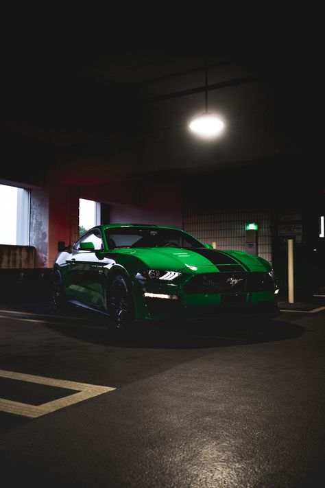 green Ford Mustang photo – Free Toronto Image on Unsplash Green Mustang, Green Lamborghini, White Lamborghini, Mustang Wallpaper, Green Luxury, Ford Mustang Cobra, Ford Mustang Coupe, Mustang Gt500, Shelby Mustang