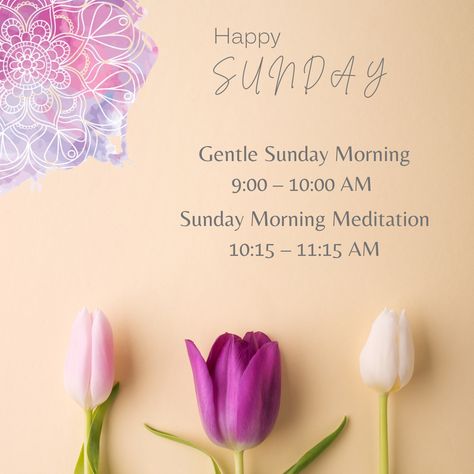 Sunday at Soham Yoga! 🌟 be gentle..be kind 🌟 www.sohamyoga.net #sohamyogarbp #connect #balance #yoga #soul Sunday Yoga, Spring Yoga, Soul Sunday, Balance Yoga, Be Gentle, Yoga Class, Be Kind, Yoga