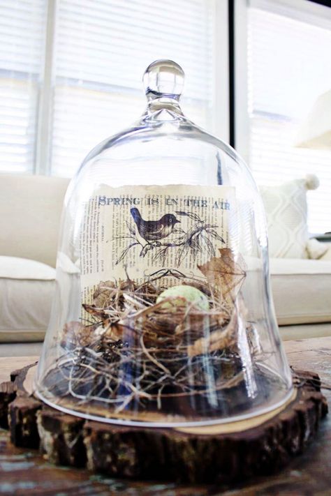 Glass Cloche Decor, Diy – Velikonoce, Cloche Decor, Deco Boheme Chic, Farmhouse Easter Decor, Spring Books, Diy Ostern, Book Page Art, Glass Cloche