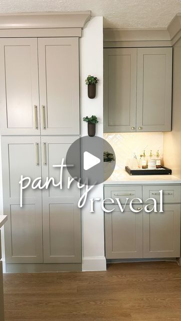 Kelsey Mackall | DIY & Real Life Reno on Instagram: "You heard it here first: Pantry closets are OUT and cabinets are IN! I wanted this pantry space to feel more like an extension of my kitchen and with the help of @rtacabinetstore I ripped out my outdated closet to replace it with this built-in cabinet. The slide out shelves are what pantry organization dreams are made of and I will never stop obsessing over the “Weston Sand” color. A huge thanks to the FREE @rtacabinetstore designers for giving me the confidence (and plan) to keep going when my original idea was derailed! (Ad)" Kitchen Pantry Ideas For Small Spaces, Kitchen Pantry Cabinets With Microwave, Kitchen Cabinets With Pantry Cabinet, Turning Pantry Into Cabinet, New Kitchen Pantry Ideas, Diy Kitchen Closet, Pantry In A Cabinet, Adding A Cabinet To Kitchen, Cabinet Doors That Open And Slide In