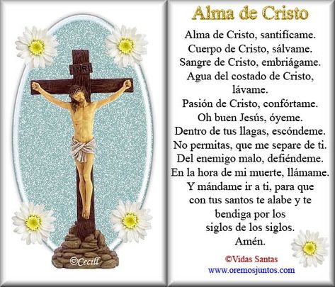 Anima Christi, God Prayer, Jesus, Angel, Quotes