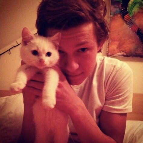 Harrison Osterfield, Tom Peters, Hate Cats, Tom Holland Imagines, Tom Holland Peter Parker, Tom Holland Spiderman, Tommy Boy, Men's Toms, Spiderman Homecoming