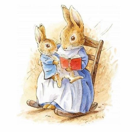 Kay on Instagram: “Good morning 😉 Yay it’s the weekend 🙌🏻 What better way to spend it with cuddles and stories ☺️ It’s a rainy start here so I think Peter…” Peter Rabbit Illustration, Beatrix Potter Illustrations, Beatrice Potter, Peter Rabbit Nursery, Peter Rabbit And Friends, Rabbit Nursery, Benjamin Bunny, Football Wall Art, Rabbit Illustration