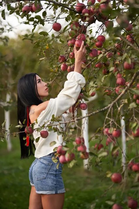 Couple Apple Orchard Pictures, Apple Farm Photoshoot, Apple Orchard Photoshoot, Apple Orchard Pictures, Apple Picking Photos, Apple Farm, Apple Orchard, Apple Picking, Tattoos For Women